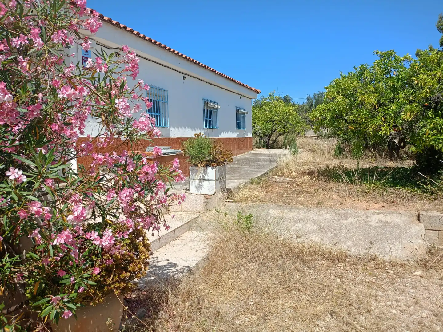 Vista exterior de Casa o xalet en venda en Cheste amb Jardí privat i Alarma