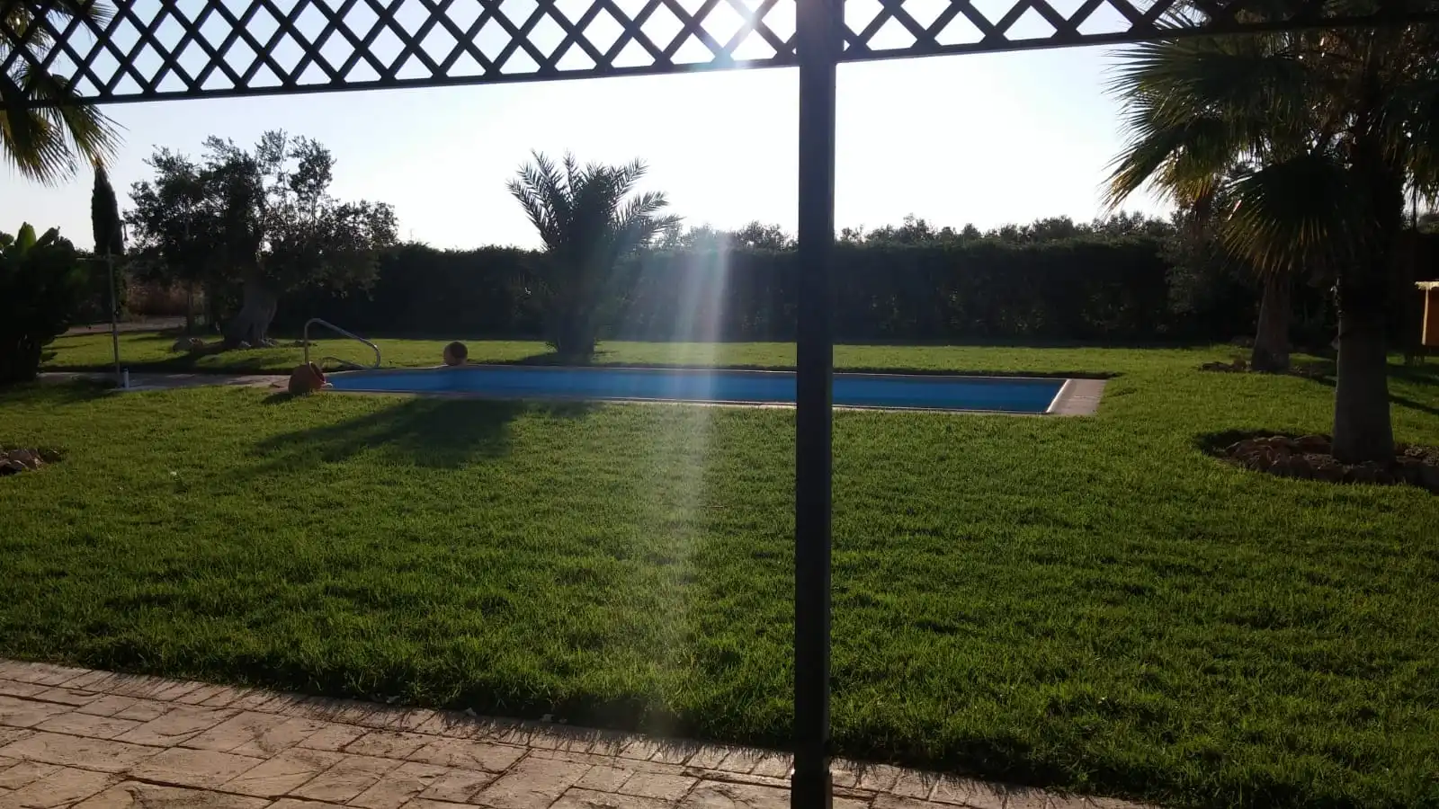 Terreno rustico in vendita a Carretera Ecija, imagen 2