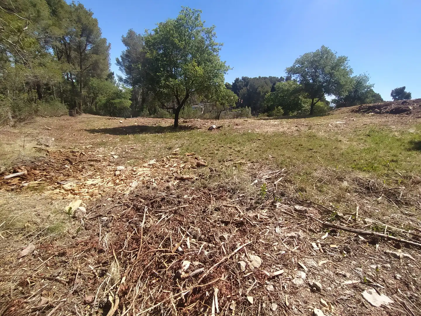 Wohnbaugrundstück zum Verkauf in Carrer Ramon Martí Alsina 7, imagen 2