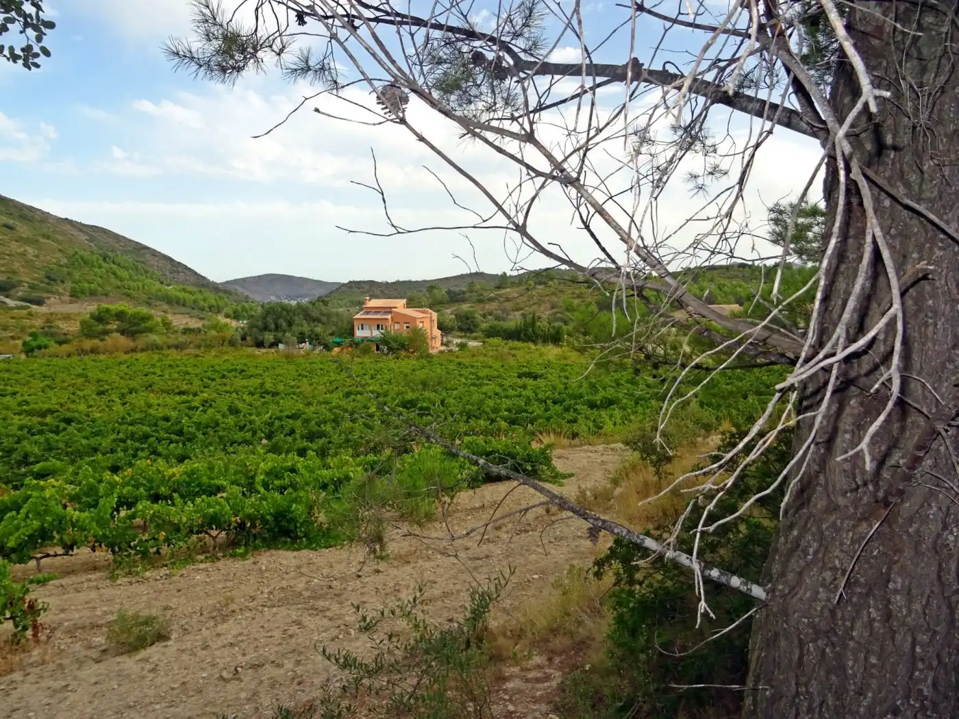 Locale commerciale in vendita a Xaló, imagen 11