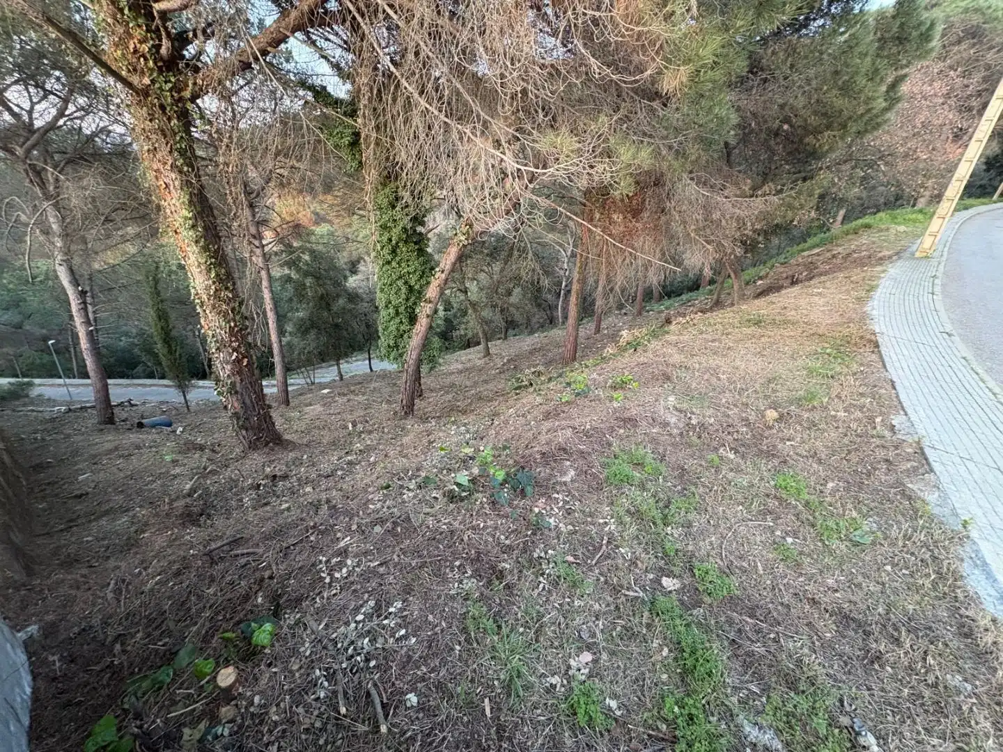 Terreno residencial en venta en Carrer de la Mola 2, imagen 2