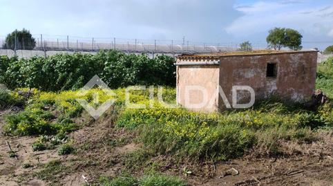 Photo 3 of Land for sale in La Jara, Cádiz