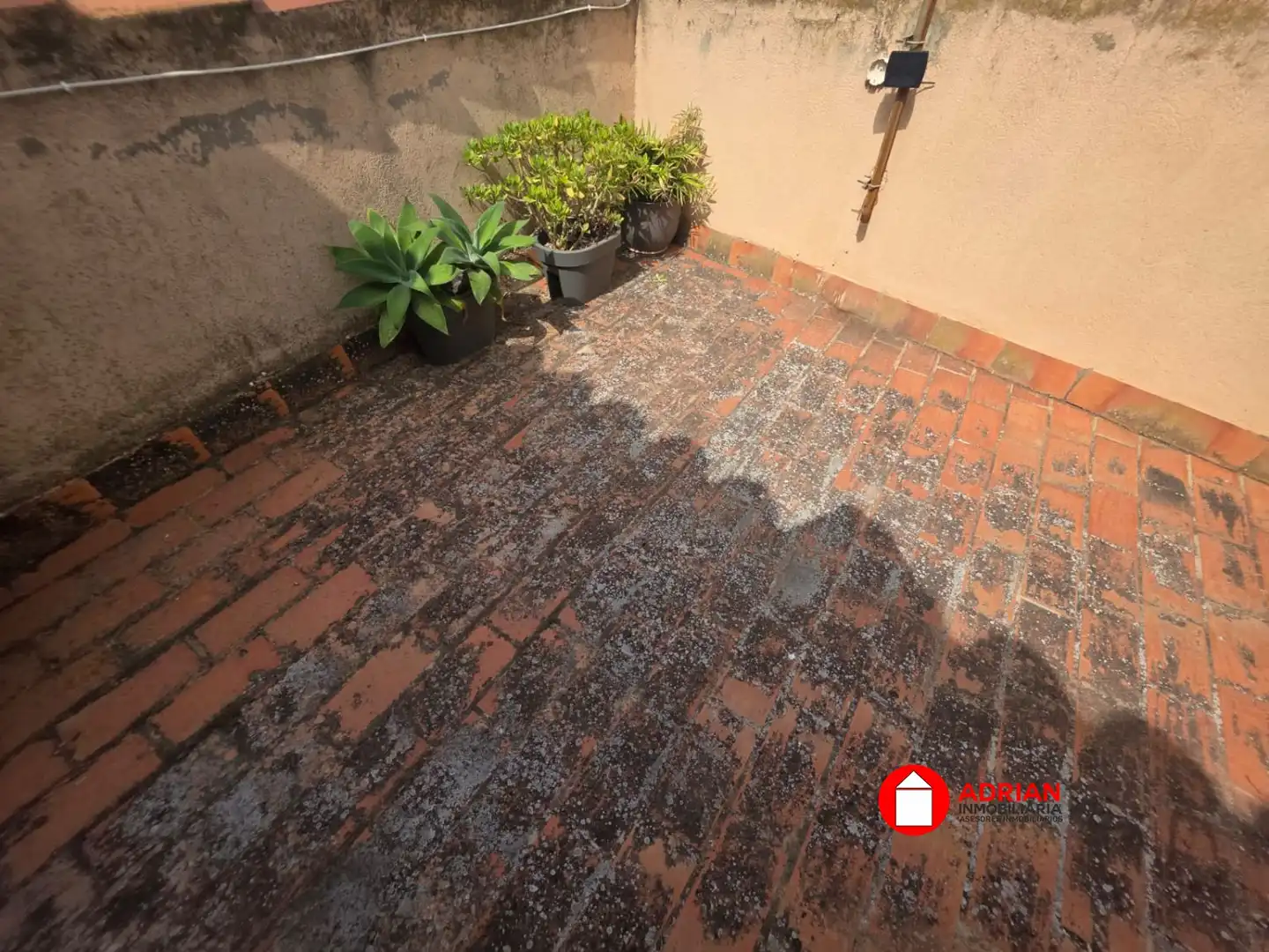 Terrassa de Planta baixa en venda en Moncofa amb Terrassa i Traster