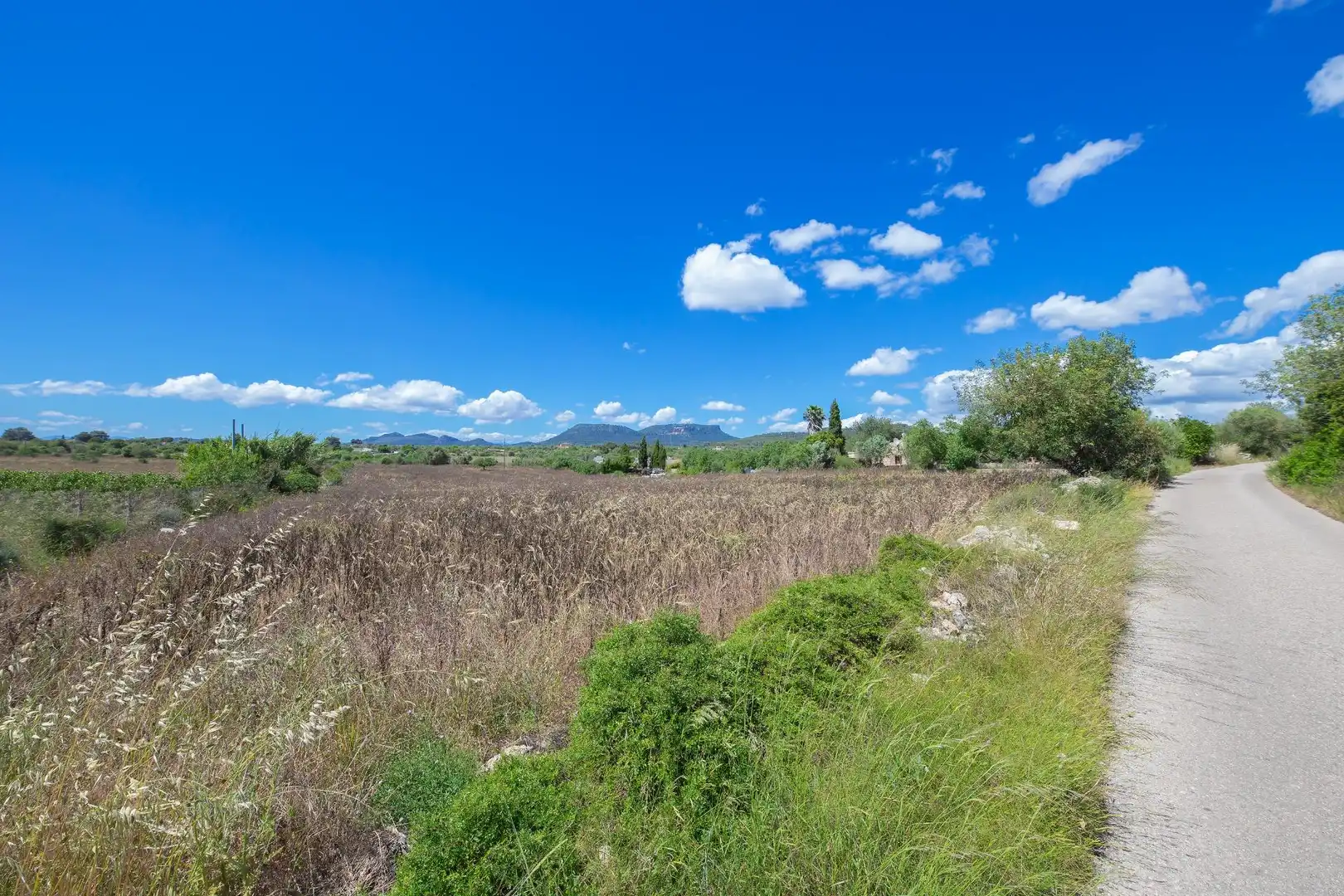Terreno rustico in vendita a Poligono, imagen 3