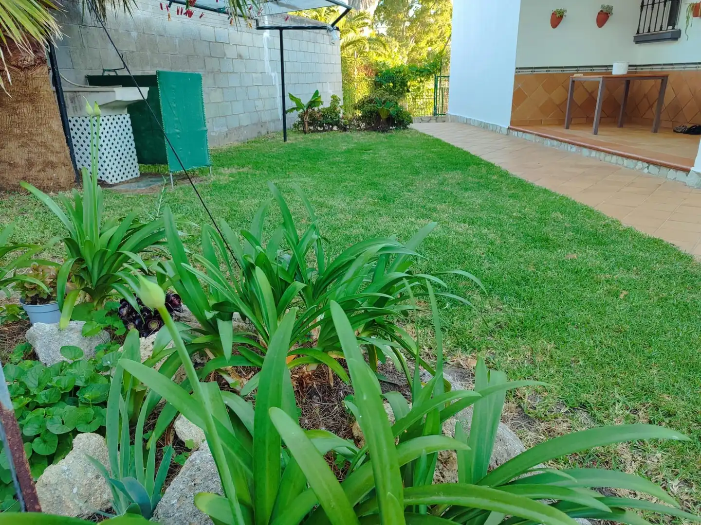 Jardí de Casa o xalet en venda en Algeciras