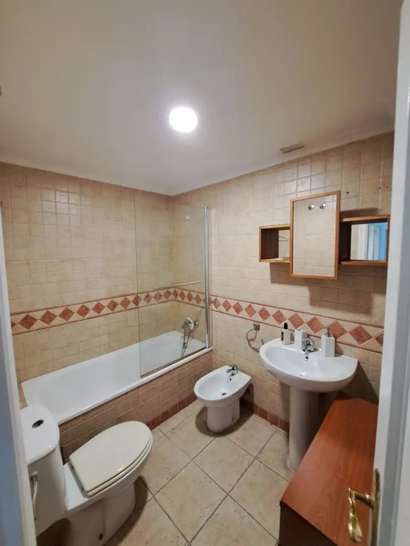 Bathroom of Flat for rent in Algeciras  with Air Conditioner, Furnished and Pets allowed