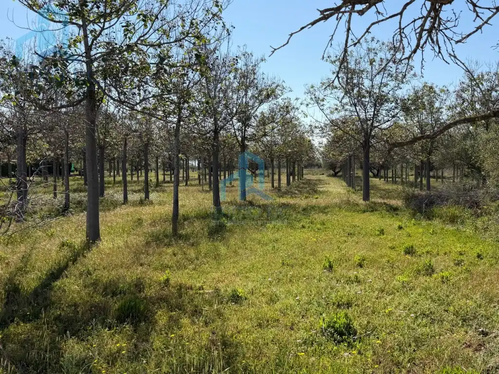Casa o chalet en venta en Constantí