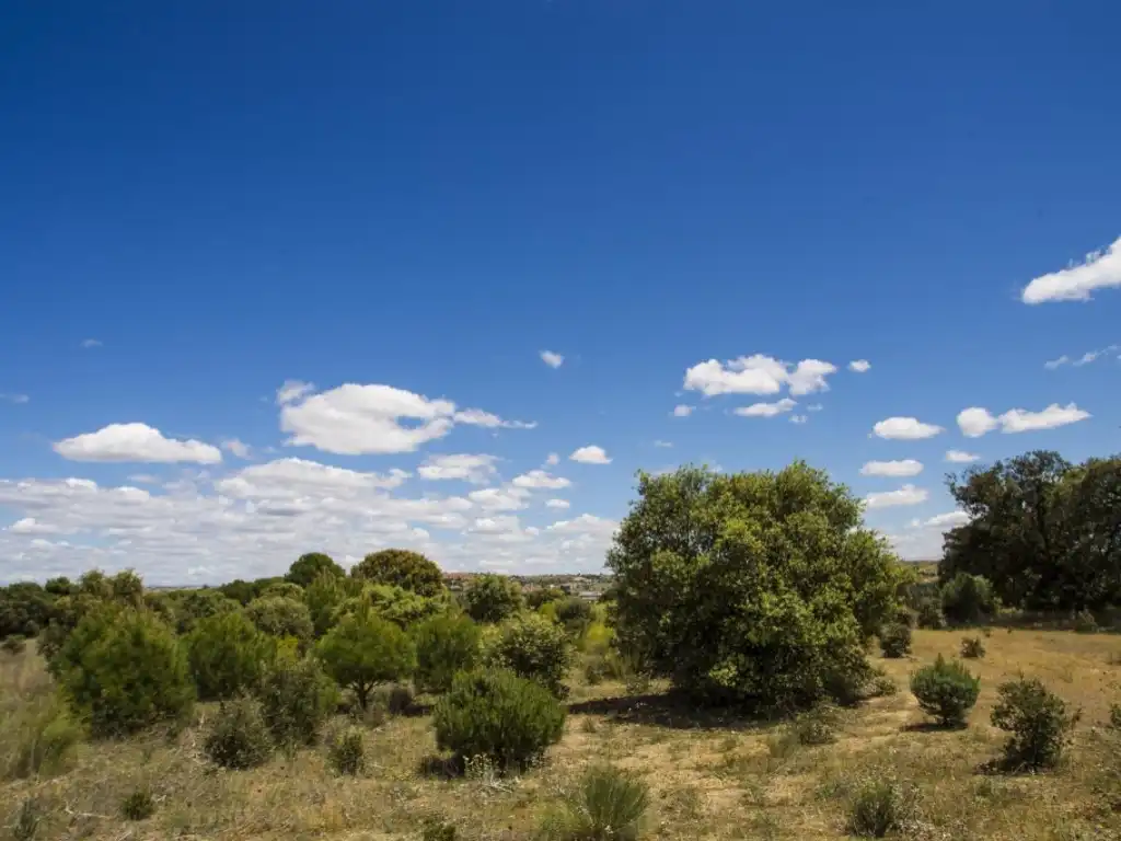 Finca rústica en venda en Navalcarnero