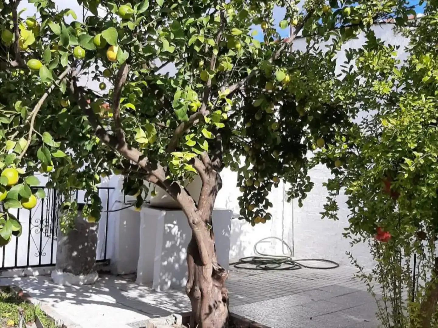 Jardí de Casa adosada en venda en Nueva Carteya
