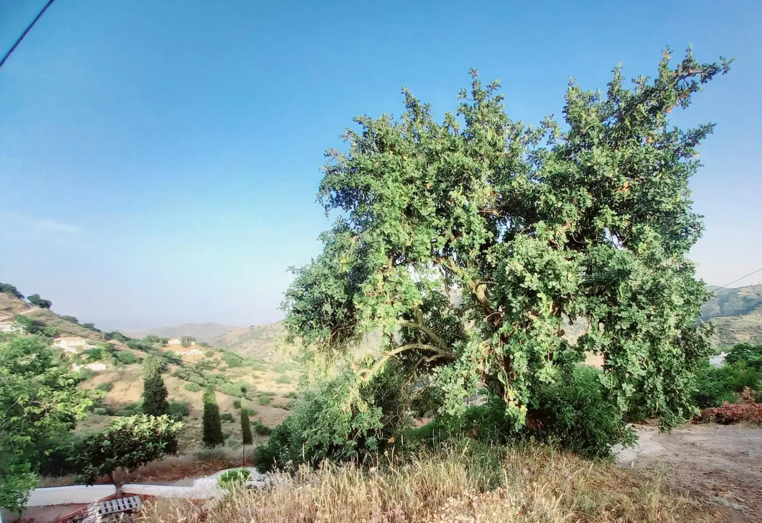 Casa adosada en venta en Comares con Terraza, Trastero y Amueblado