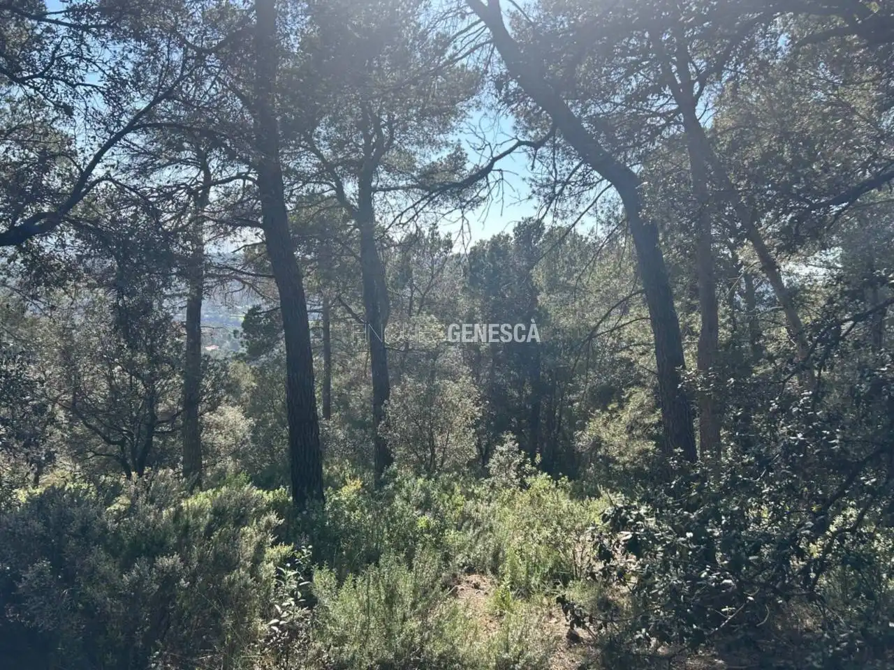 Wohnbaugrundstück zum Verkauf in Calle Camí del Moliner 59, imagen 7