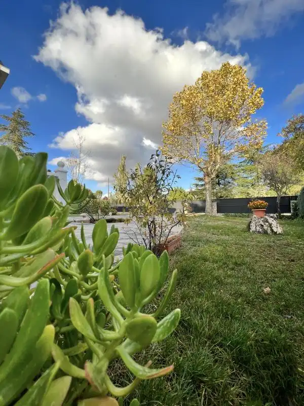 Jardín de Casa o chalet en venta en Nuevo Baztán con Calefacción, Jardín privado y Piscina