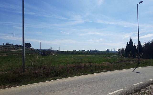 Finca rústica en Venta en Pedanias