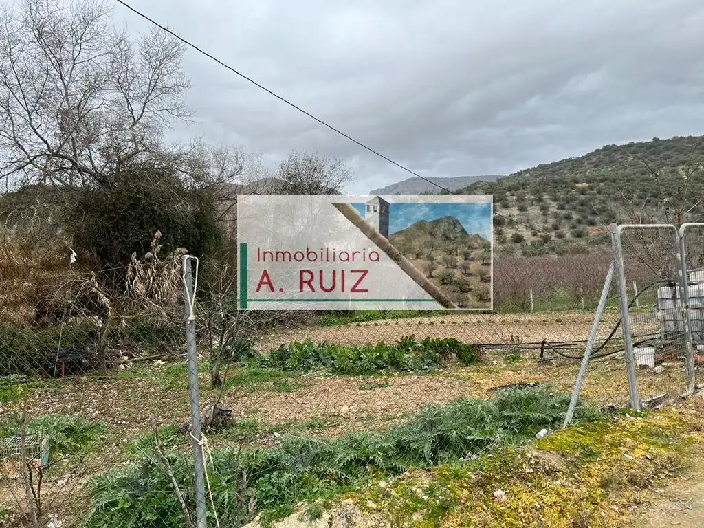 Terreny rústic en venda a Priego de Córdoba, imagen 7