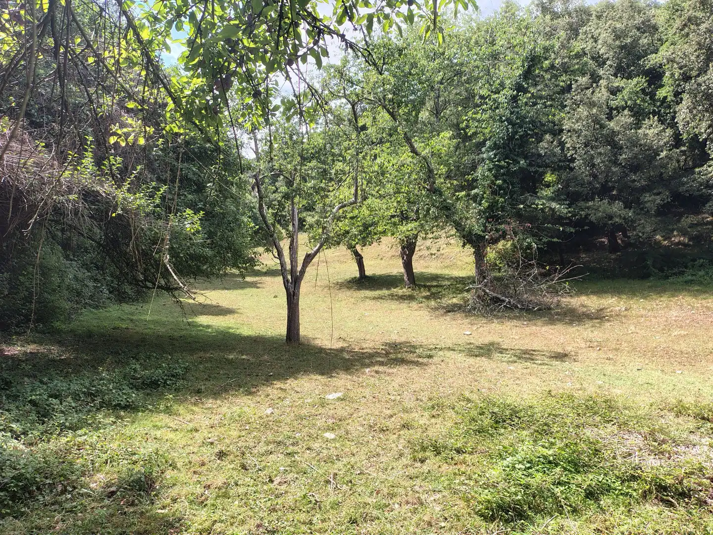 Finca rústica en venda en Urduña / Orduña