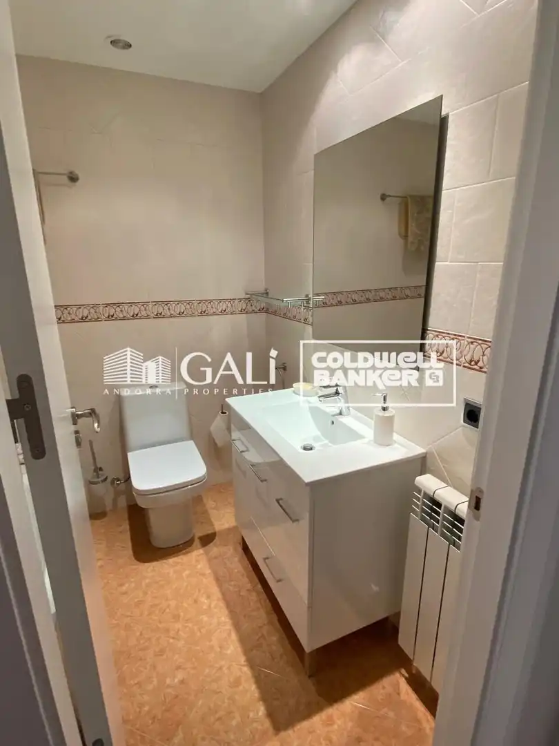 Penthouse mit Terrasse zur Miete in Encamp pueblo, imagen 26