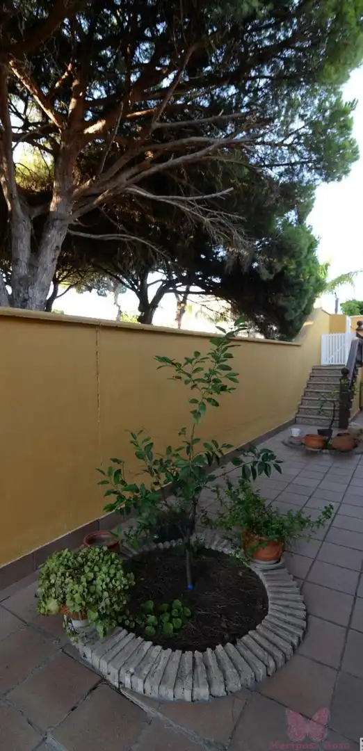 Garden of Houses for sale in Chiclana de la Frontera  with Air Conditioner, Swimming Pool and Alarm