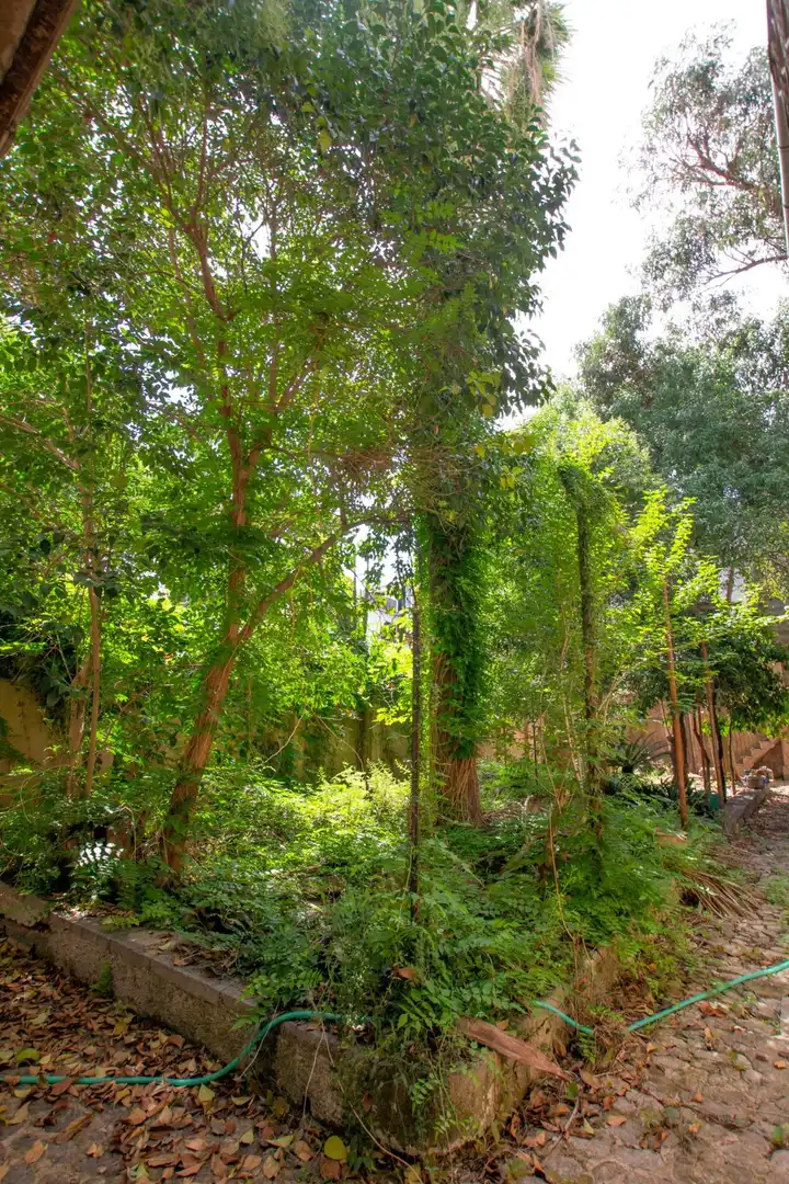 Detached house with garden for sale in Sóller, imagen 21