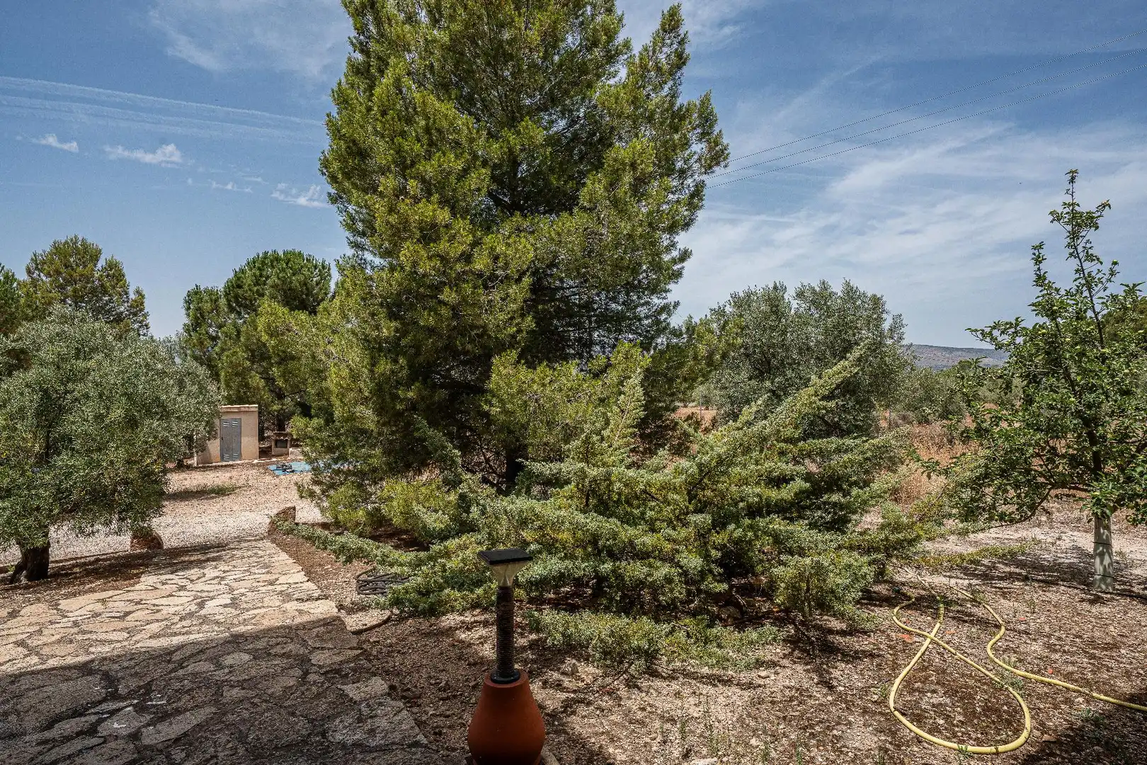 Jardí de Finca rústica en venda en Biar amb Calefacció, Jardí privat i Terrassa
