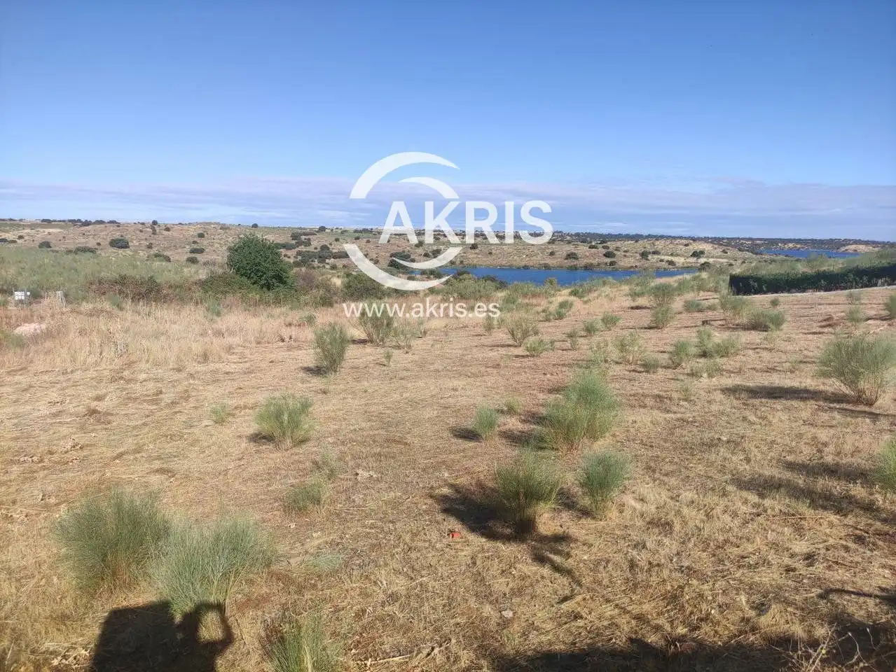 Terreno rustico in vendita a del Avefría, imagen 2