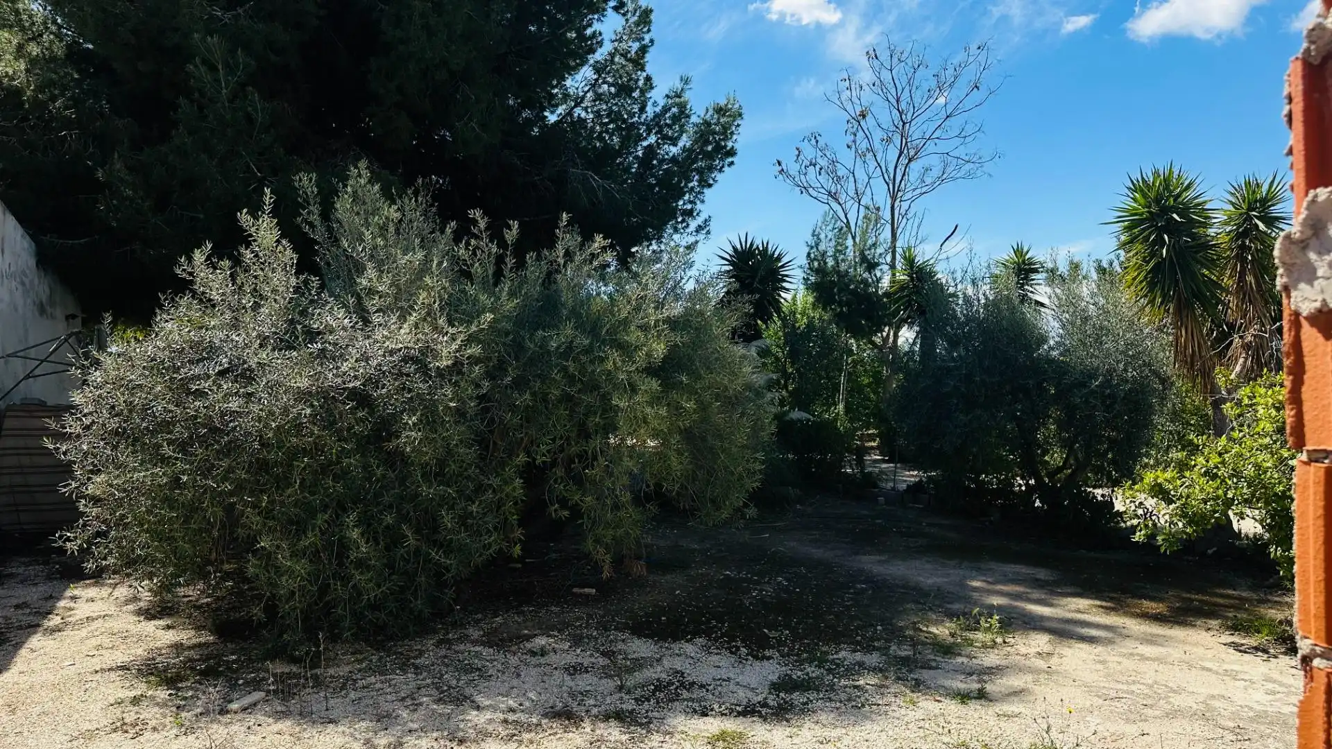 Casa o xalet en venda en Elche / Elx amb Jardí privat, Traster i Piscina