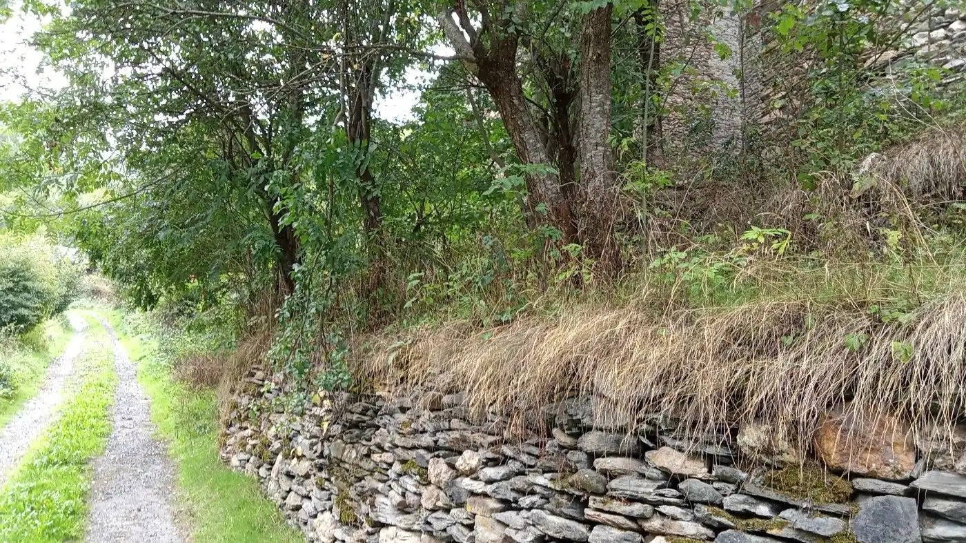 Jardí de Casa o xalet en venda en La Guingueta d'Àneu amb Traster