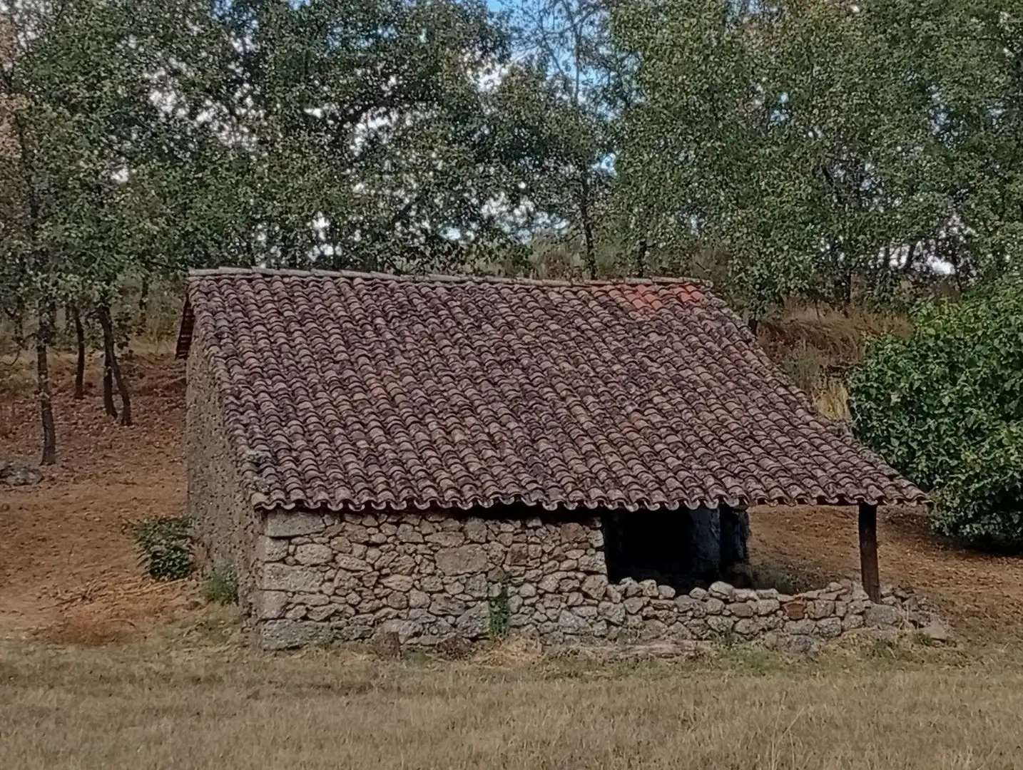 Terreni e lotti in vendita a Villanueva de la Vera, imagen 73