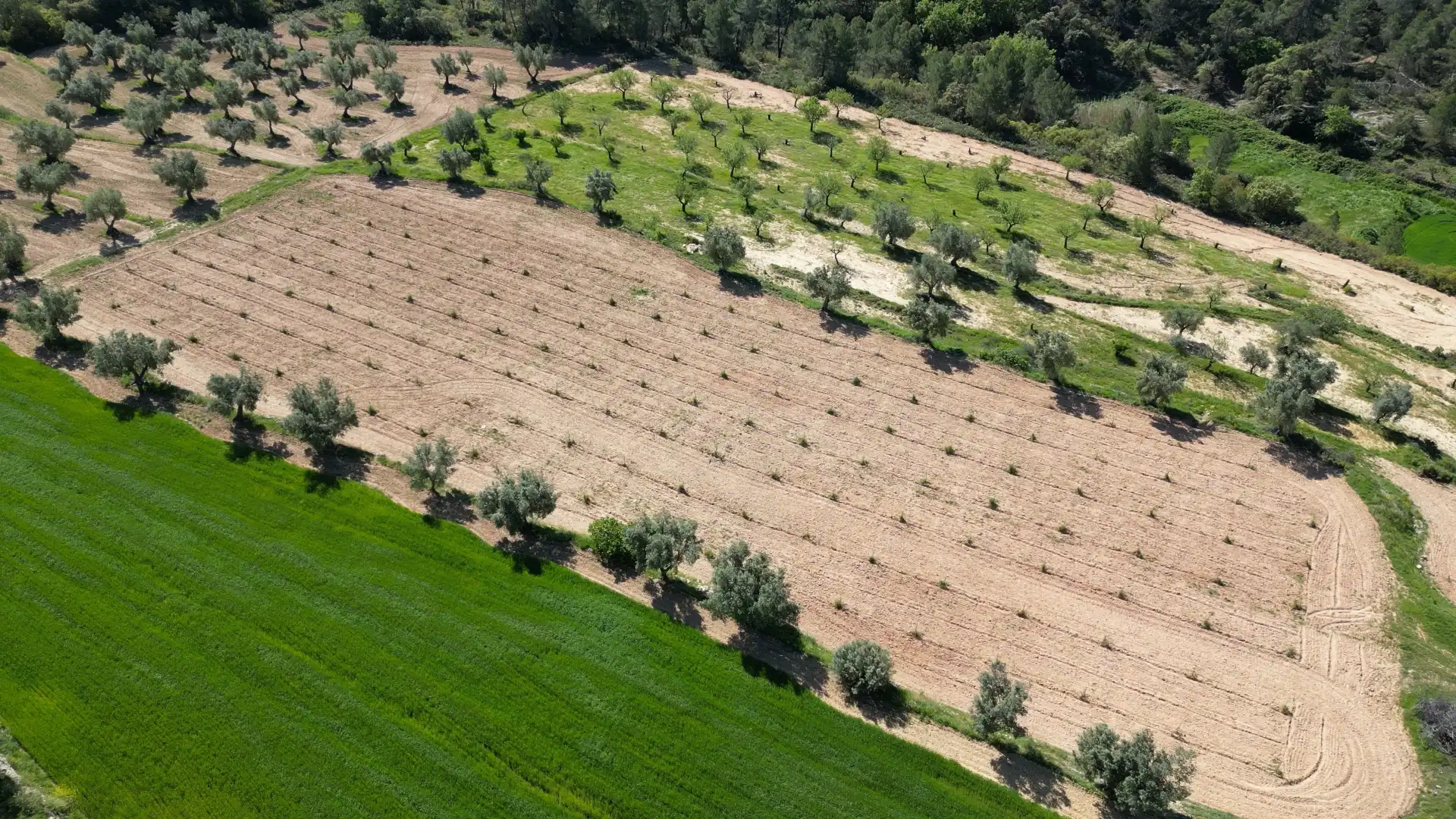 Terreni e lotti in vendita a Calaceite, imagen 18