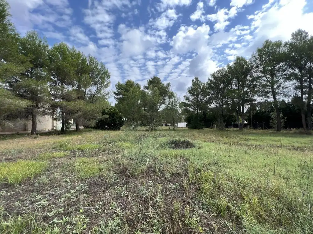 Terreny residencial en venda a Alberic, imagen 45