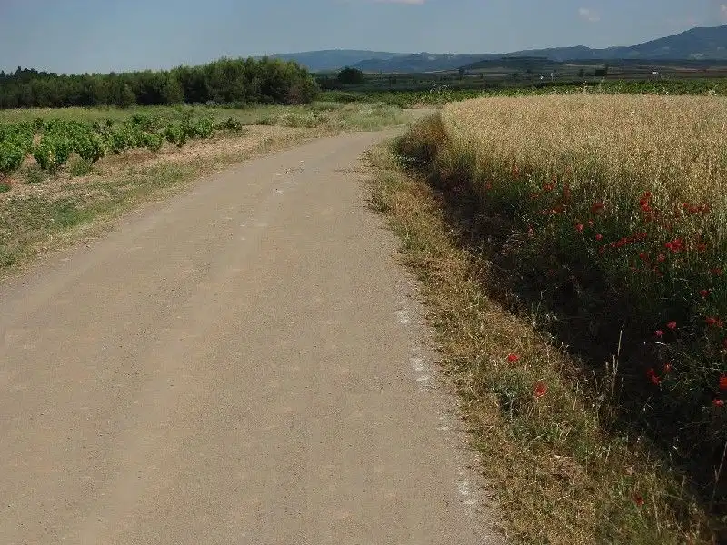 Terreny rústic en venda a Villamediana de Iregua, imagen 3