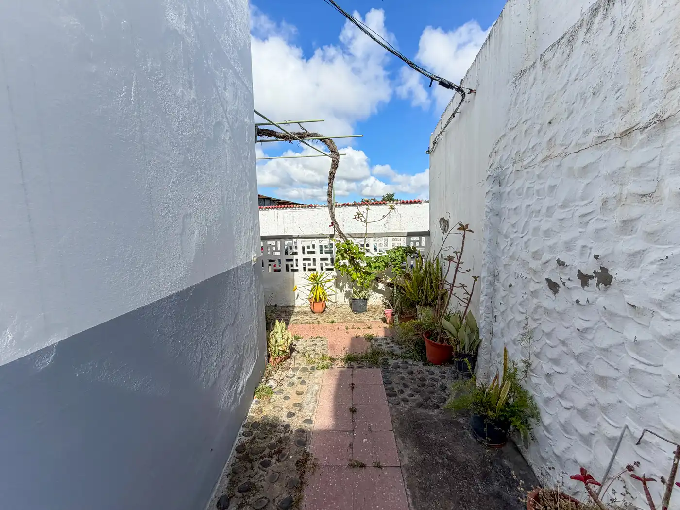 Terraza de Casa o chalet en venta en Moya (Las Palmas) con Jardín privado
