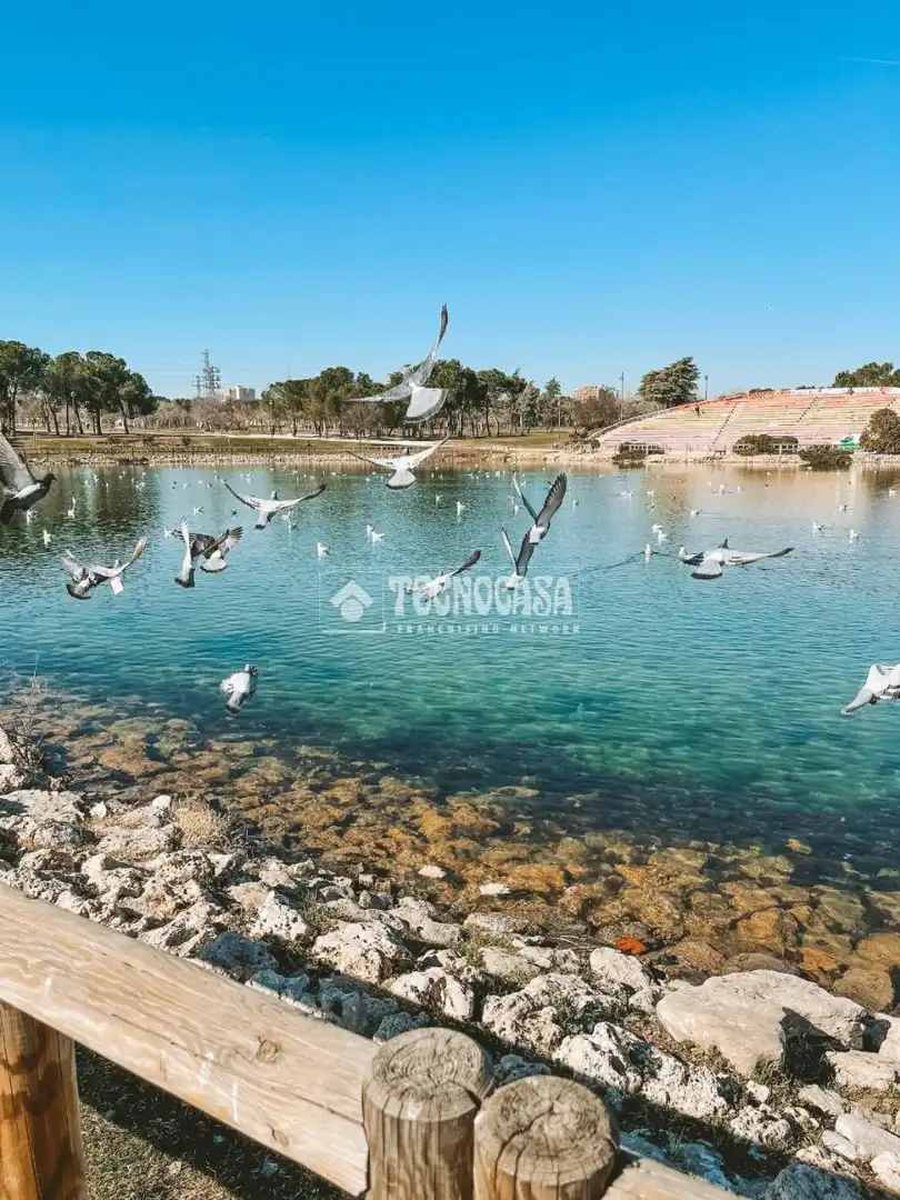 Piscina de Local en venda en Madrid amb Calefacció