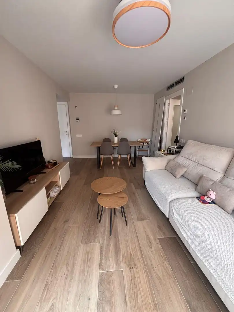 Sala d'estar de Pis de lloguer en Terrassa amb Parquet i Traster