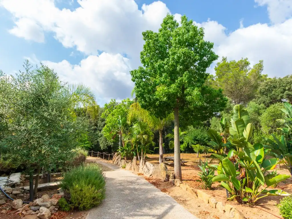 Casa rústica con piscina en venta en Es Mercadal poble, imagen 9