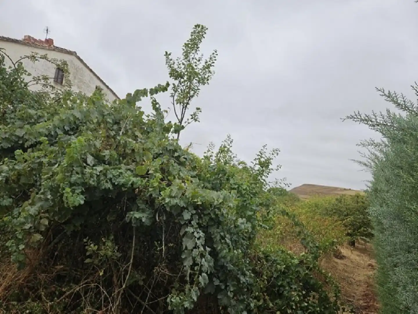 Casa con giardino in vendita a Castildelgado, imagen 6