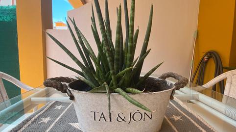 Foto 4 de Planta baja de alquiler en Calle Veleta, 1, Nueva Atalaya, Málaga