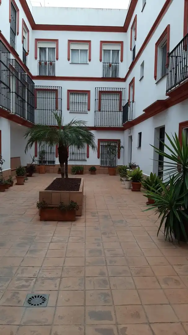Jardí de Pis de lloguer en Sevilla amb Aire condicionat, Calefacció i Moblat