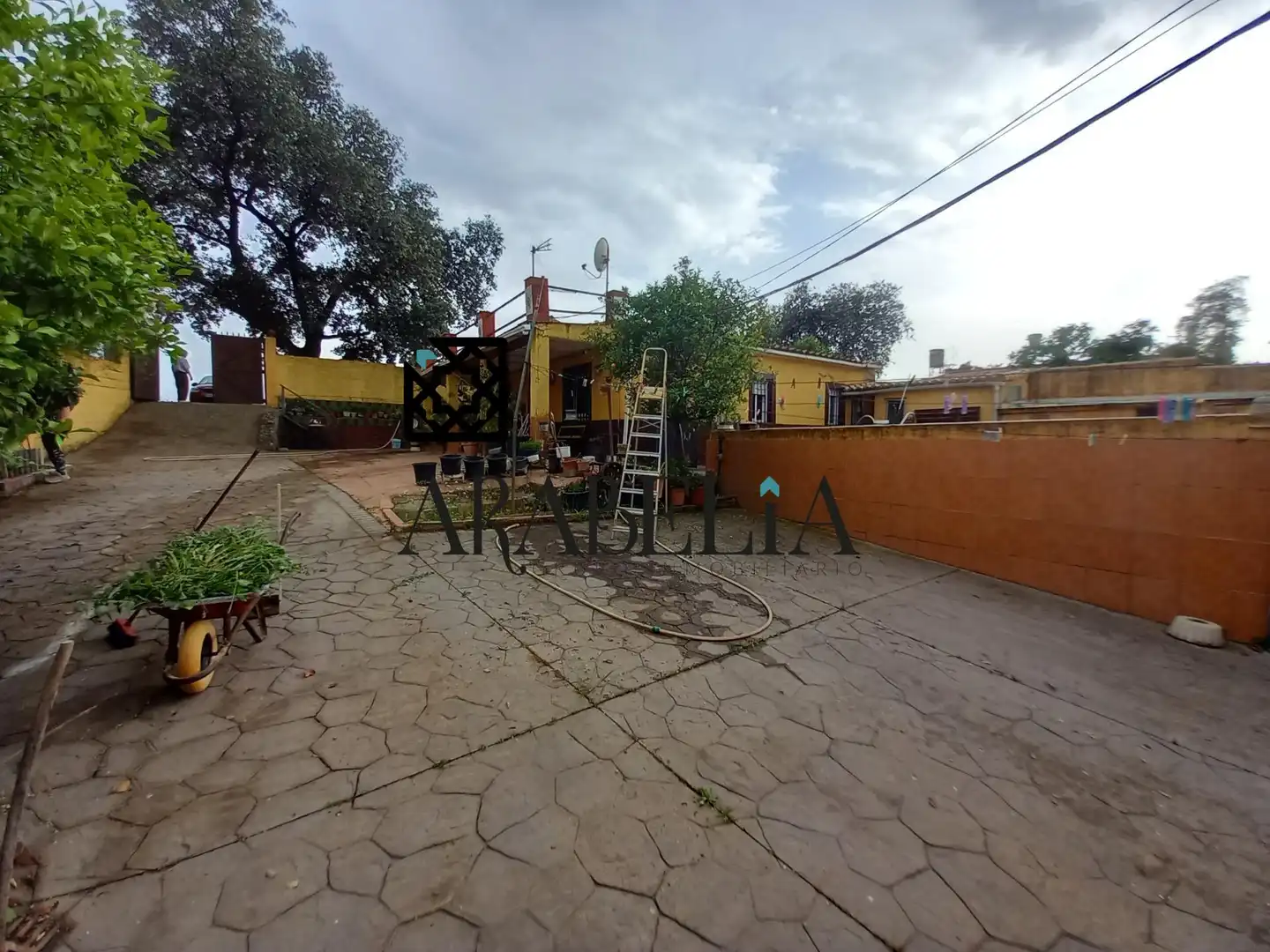 Jardín de Finca rústica en venta en Córdoba con Piscina comunitaria
