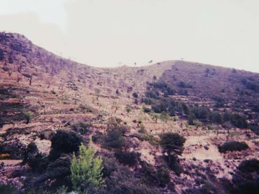 Terreny rústic en venda a Torremanzanas / La Torre de les Maçanes