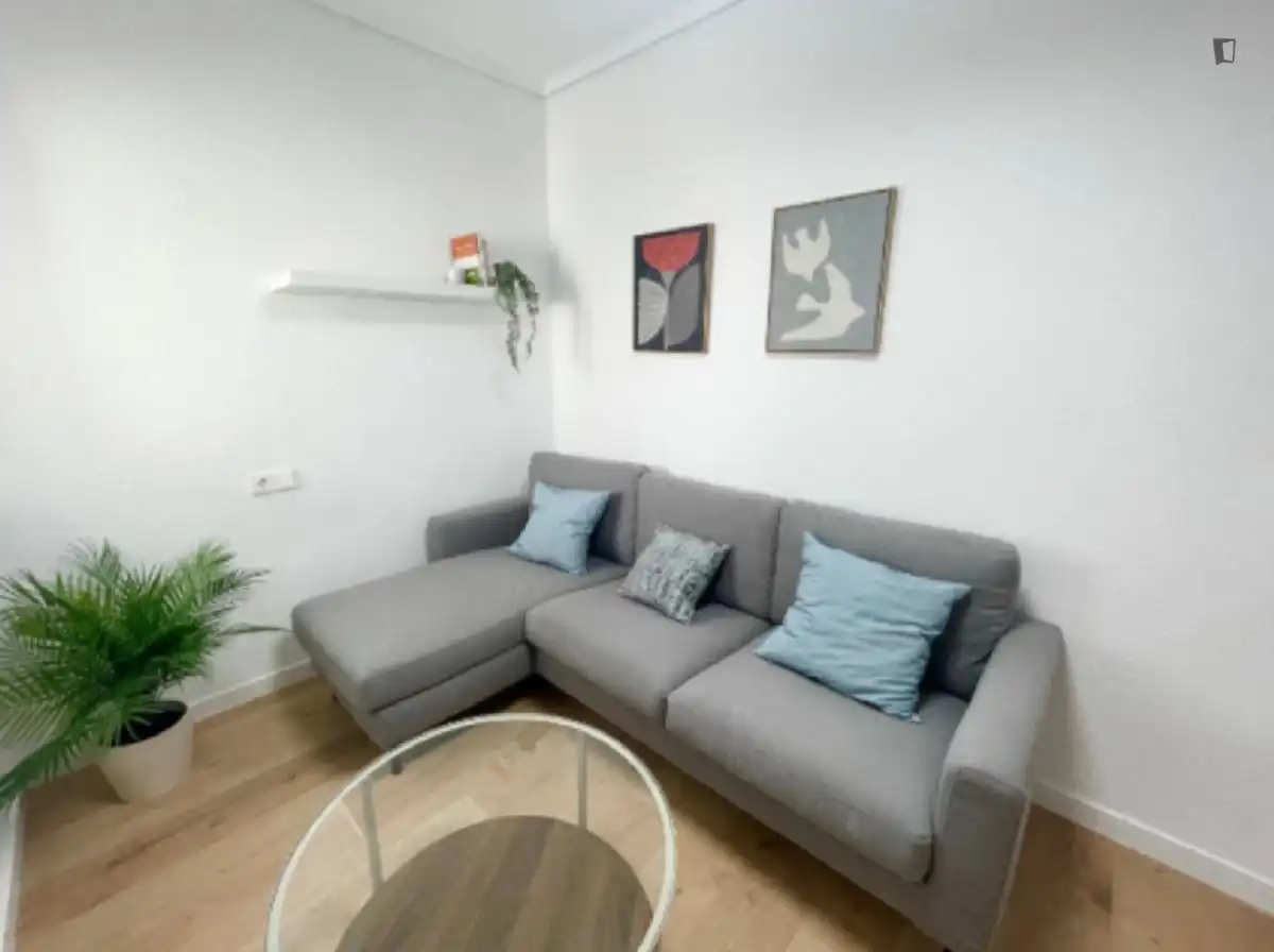 Sala de estar de Apartamento para compartir en Elche / Elx con Amueblado, Horno y Lavadora