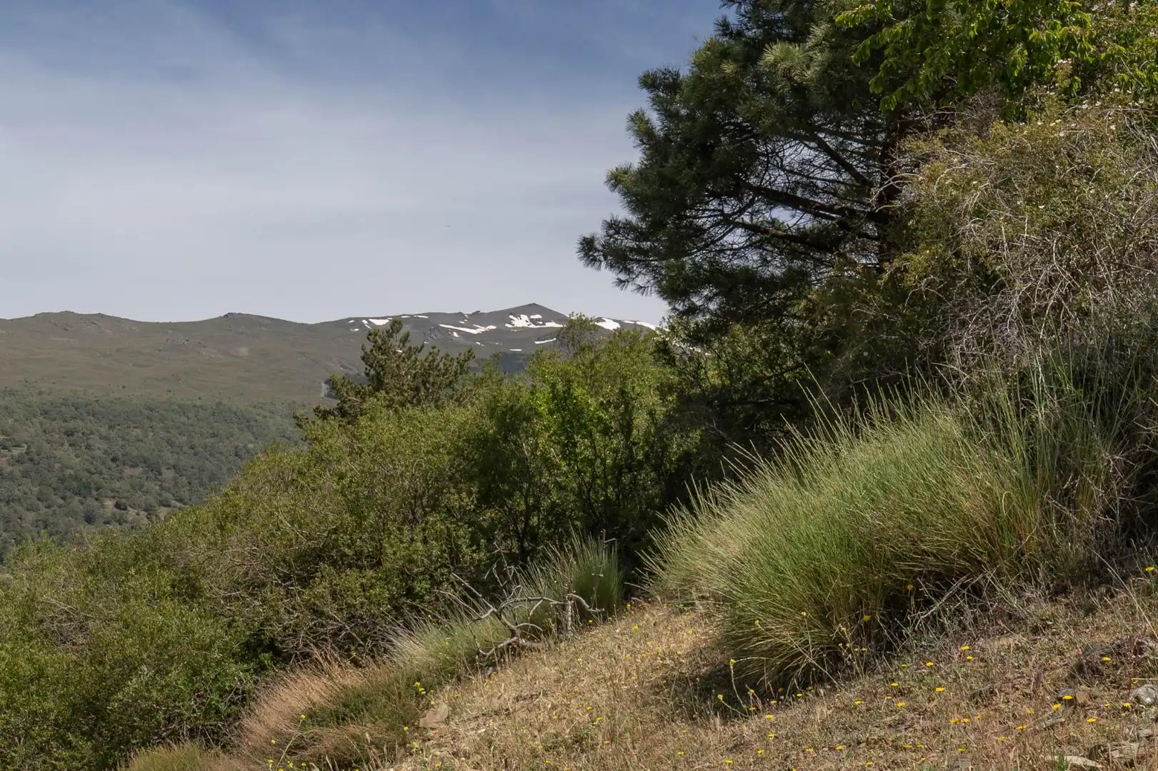 Terreno en venta en Soportújar