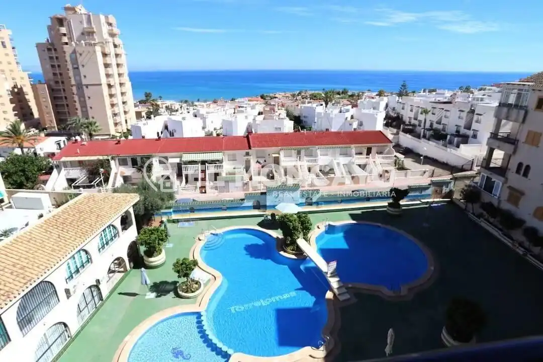 Studio with pool for sale in La Mata, imagen 18