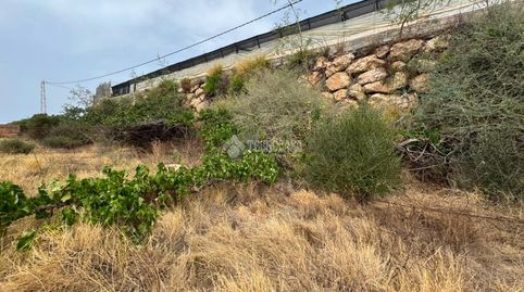 Foto 3 de Terreno en venta en Albuñol, Granada