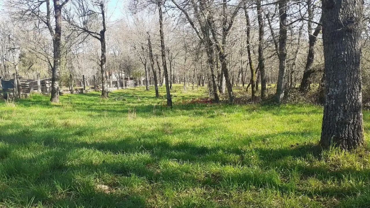 Terreni e lotti in vendita a Paderne de Allariz, imagen 9
