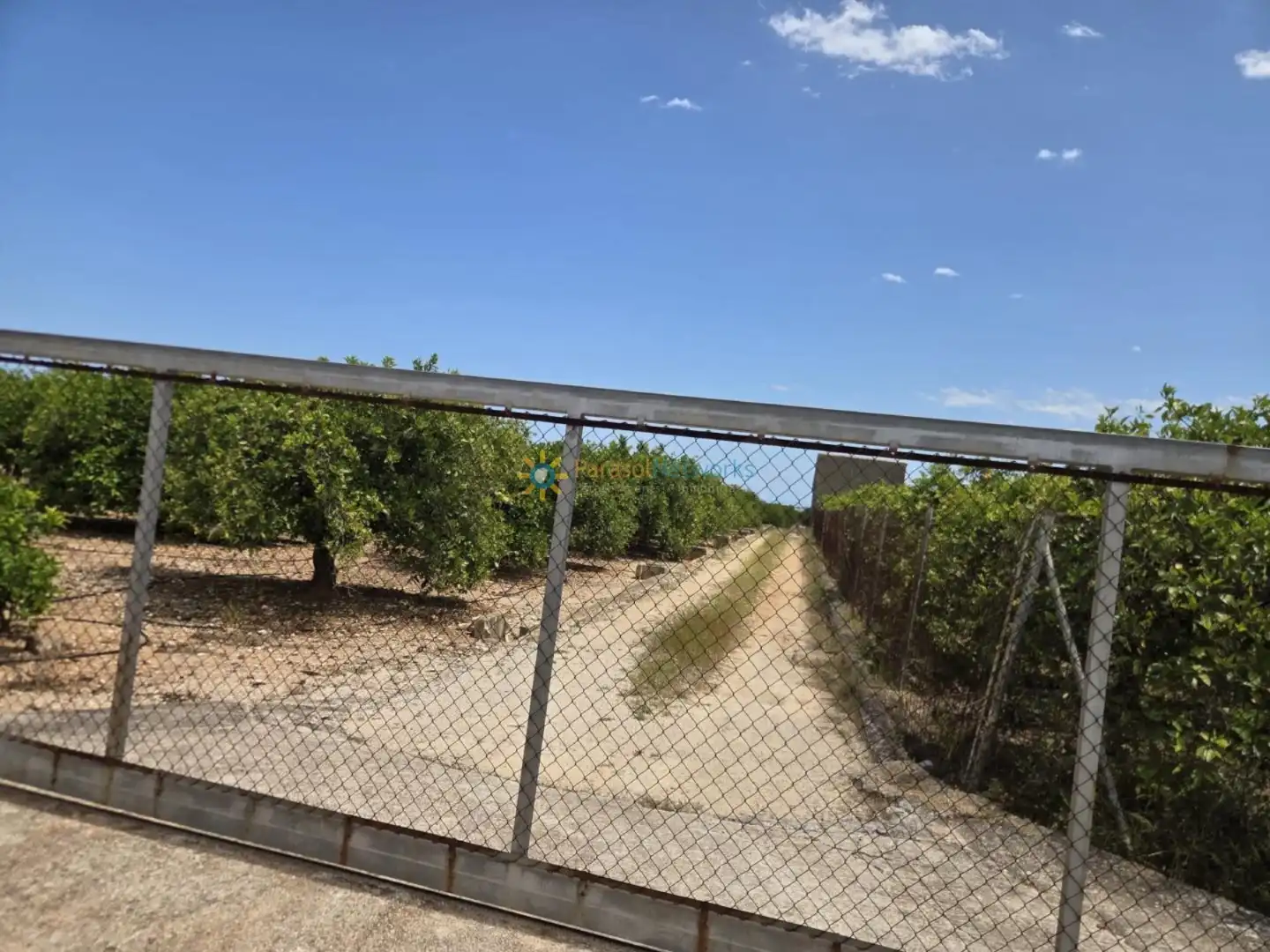 Terreny rústic en venda a Oliva pueblo, imagen 9