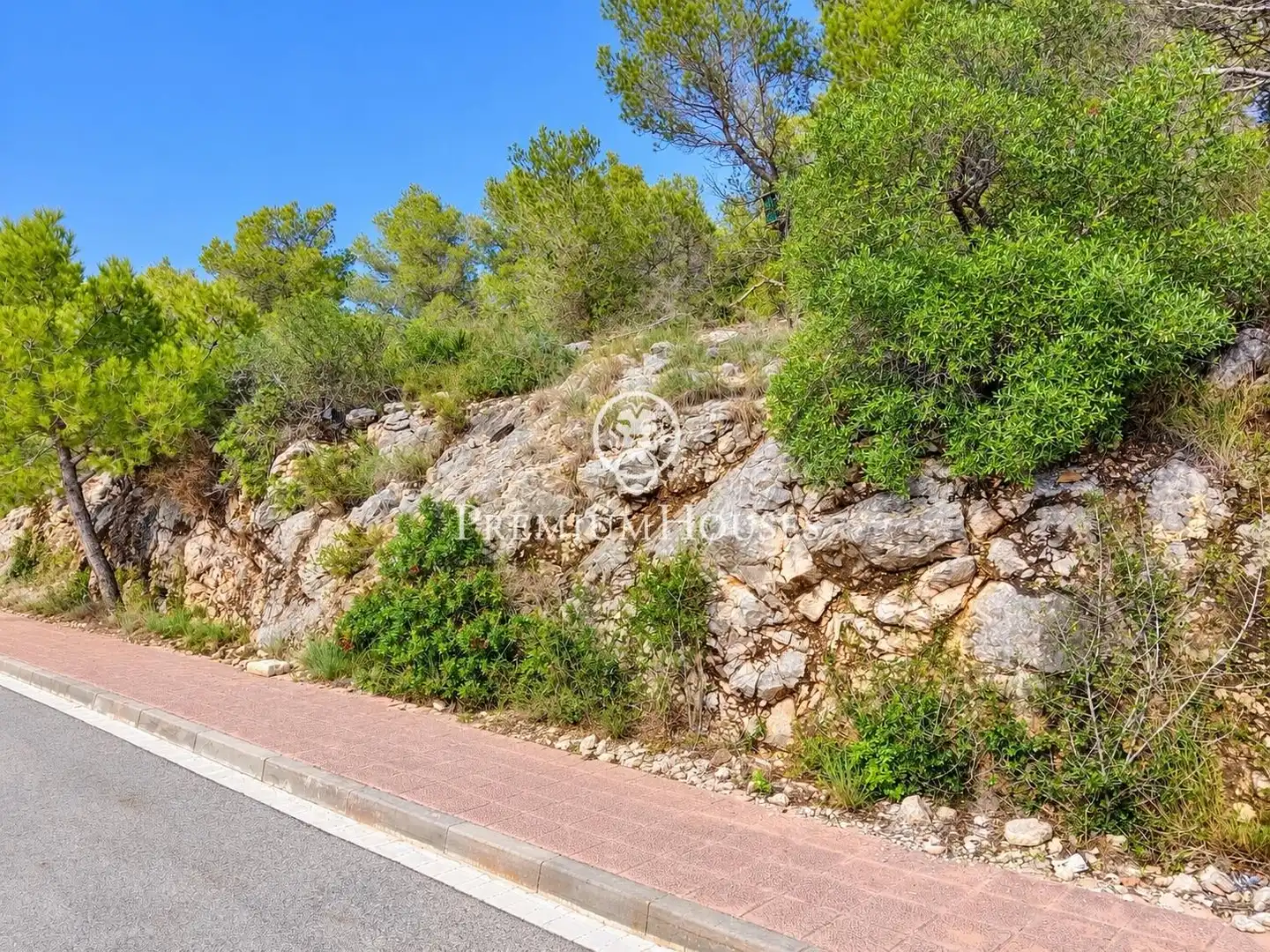 Residential land for sale in Mas Alba, imagen 7