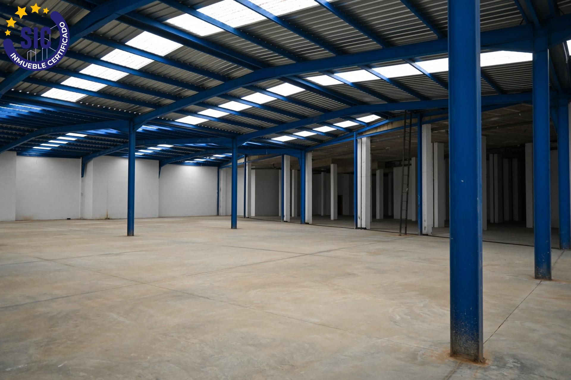 Exterior view of Industrial buildings for sale in Xirivella