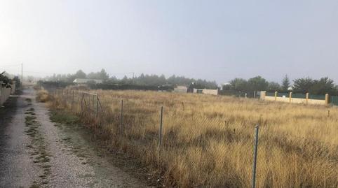 Photo 3 of Land for sale in Santa Teresa - Vereda,  Albacete Capital