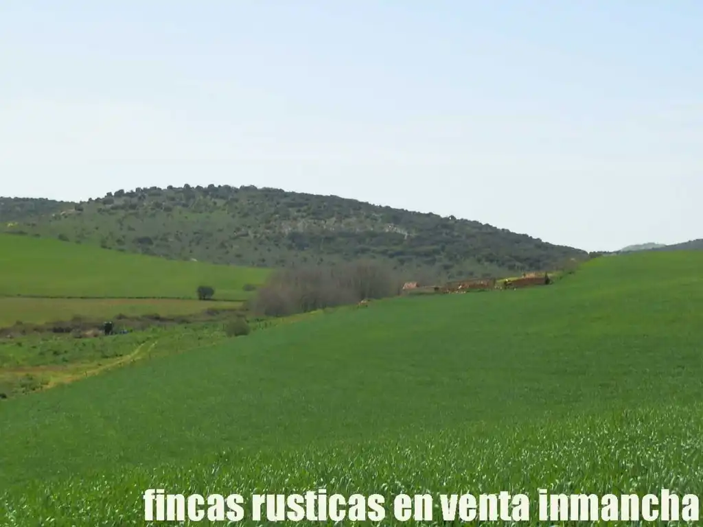 Terreno rustico in vendita a Centro - Plaza Mayor, imagen 16