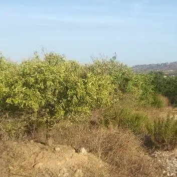 Terreno rustico in vendita a Madronyal 140, imagen 2